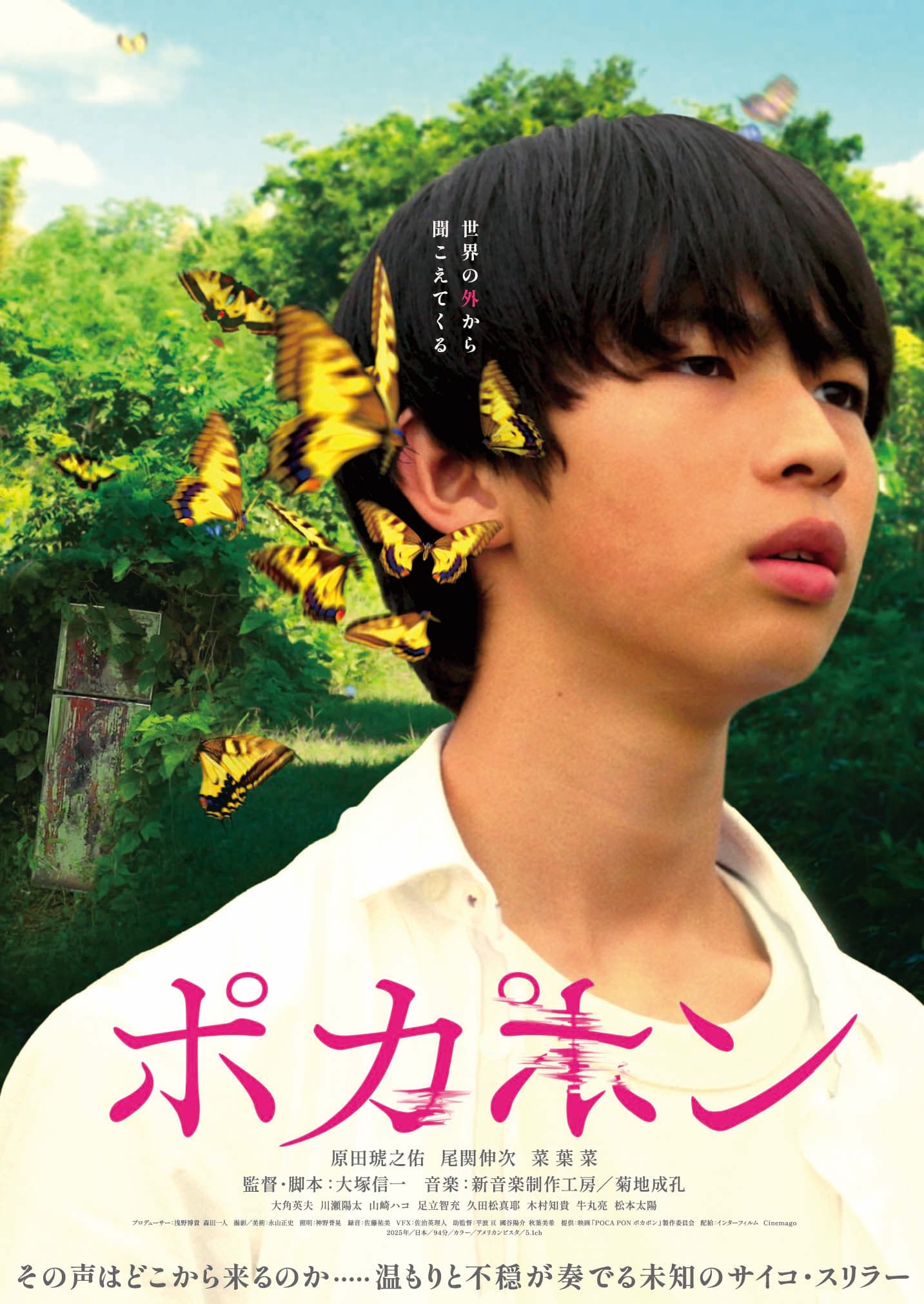 POCA PON ポカポン